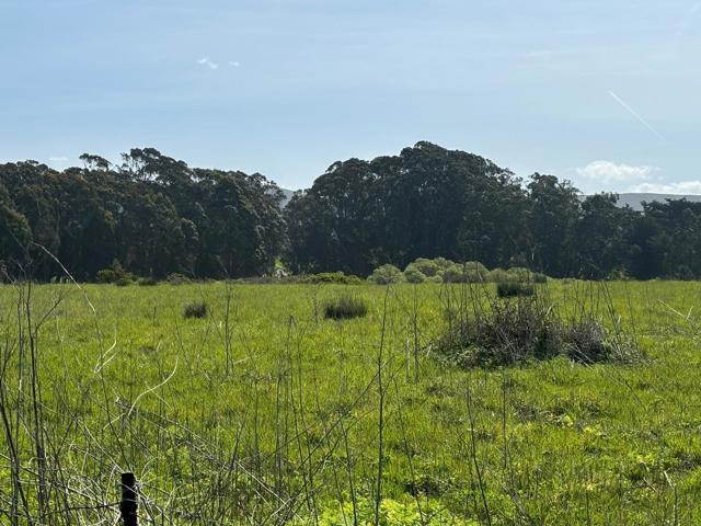 0 Portola Avenue, Half Moon Bay CA: https://media.crmls.org/mediaz/77d69b78-09d2-4618-907e-7e0b928853e2.jpg