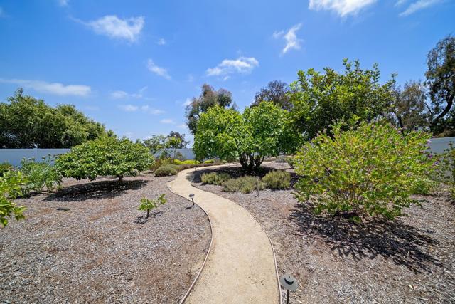 3923 San Pablo Avenue, Oceanside CA: https://media.crmls.org/mediaz/77dc202e-2417-4a9e-82da-7518e4738f9a.jpg
