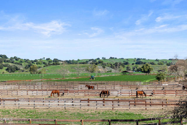 Detail Gallery Image 48 of 75 For 3325 Figueroa Mountain Rd, Los Olivos,  CA 93441 - 3 Beds | 3/2 Baths