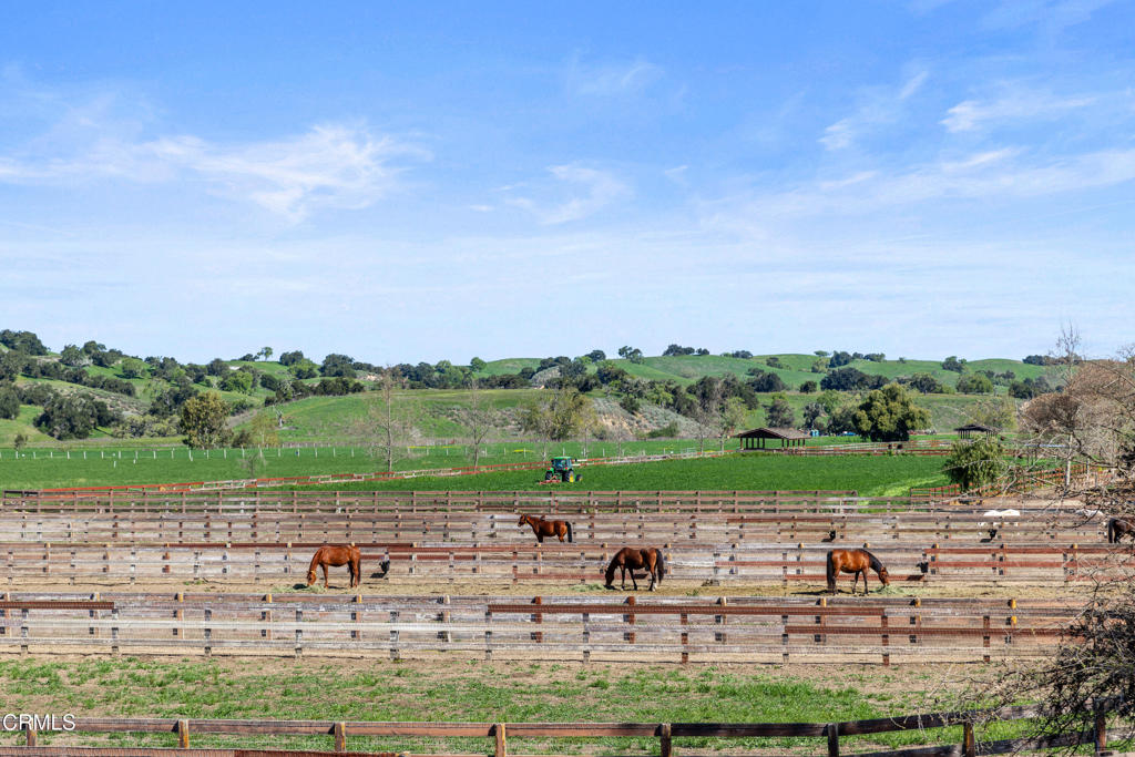 77E289F4 8B6E 4C68 9C8B C8Ee2Ce95261 3325 Figueroa Mountain Road, Los Olivos, Ca 93441 &Lt;Span Style='BackgroundColor:transparent;Padding:0Px;'&Gt; &Lt;Small&Gt; &Lt;I&Gt; &Lt;/I&Gt; &Lt;/Small&Gt;&Lt;/Span&Gt;