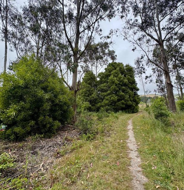 0 Bonita, Half Moon Bay CA: https://media.crmls.org/mediaz/77e6d34c-9935-418a-bb74-538bf2ffb59e.jpg