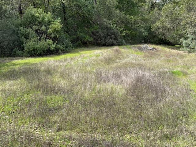 11 Little Uvas Road, Morgan Hill CA: https://media.crmls.org/mediaz/77ebf212-dc62-45ab-b6f7-323f15dce9bb.jpg