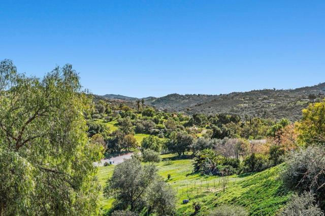 Detail Gallery Image 31 of 45 For 31424 Lilac Rd, Valley Center,  CA 92082 - 3 Beds | 3/1 Baths