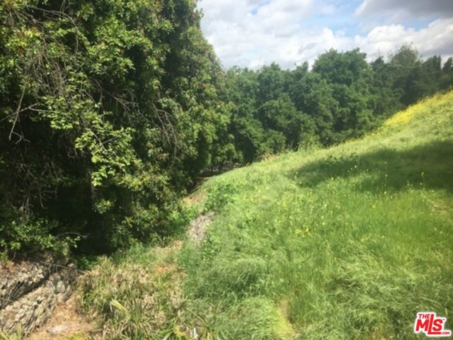 0 Aster Trail Rd. photo 3