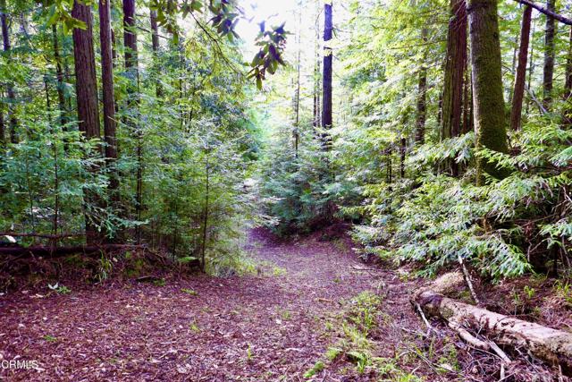 Detail Gallery Image 43 of 48 For 40401 Little River-Airport Rd, Little River_1,  CA 95456 - 3 Beds | 2 Baths