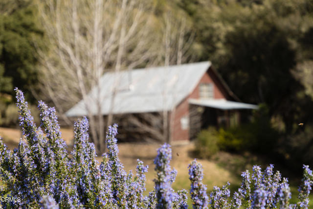 Detail Gallery Image 65 of 70 For 17350 Deer Meadows Rd, Boonville,  CA 95415 - 3 Beds | 2 Baths