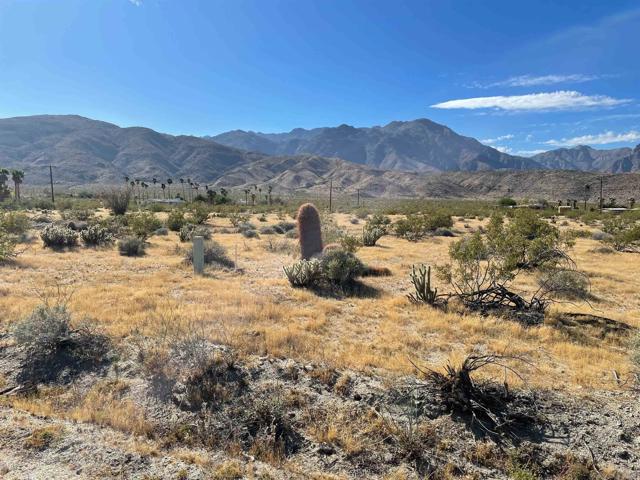 78 Broken Arrow, Borrego Springs CA: https://media.crmls.org/mediaz/781495a9-f677-443e-8f94-c3aa1e6262aa.jpg
