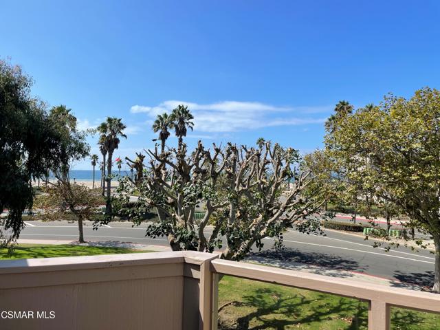 Upstairs View (Tree Trimmed)