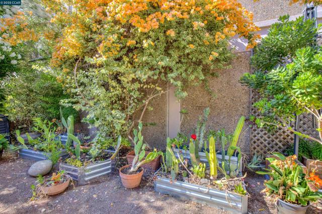 1679 Carmel Dr, Walnut Creek CA: https://media.crmls.org/mediaz/7816e653-61f2-40c0-9b7e-7dc9e0750481.jpg