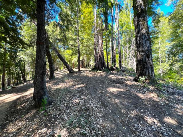 0 E Hilton, Boulder Creek CA: https://media.crmls.org/mediaz/78182029-bbd8-437c-b161-96583005c536.jpg