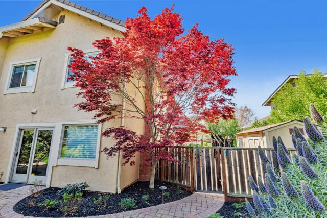663 Lambeth Court, Sunnyvale CA: https://media.crmls.org/mediaz/781e92b0-1f3f-4e56-b91a-1fc4d9868d7c.jpg