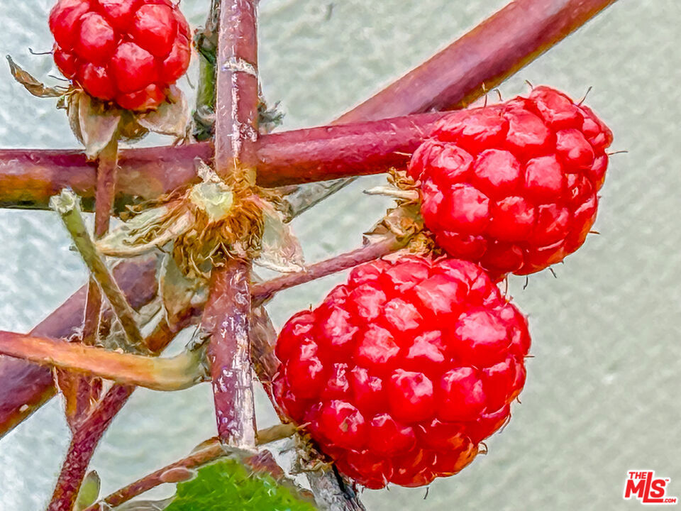 https://media.crmls.org/mediaz/782072cd-21ca-431e-92c5-67cd39e36312.jpg?preset=X-Large