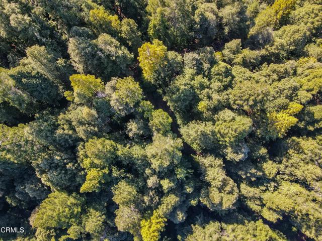 0 Irmulco Road, Willits CA: https://media.crmls.org/mediaz/7822f1ee-a1e9-4da6-b9c4-60b3f87756f5.jpg