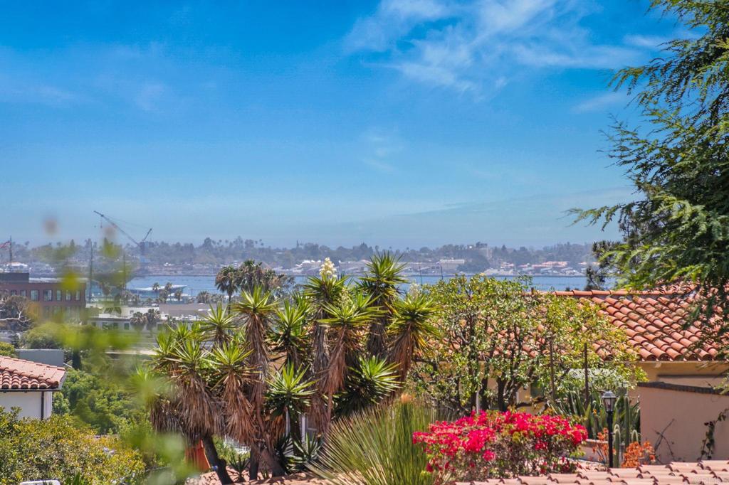 2853 Dove Street - photo 6