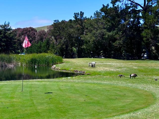 23799 Monterey-Salinas Highway, Salinas CA: https://media.crmls.org/mediaz/782dbb74-4ced-476b-9544-8e65a5ca6035.jpg