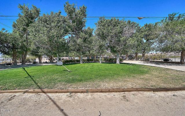 Detail Gallery Image 15 of 46 For 10298 Custer Ave, Lucerne Valley,  CA 92356 - 5 Beds | 2/1 Baths