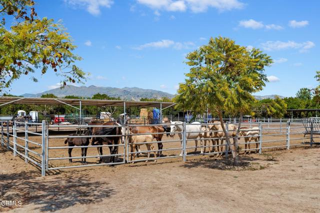 16-web-or-mls-16 - Horse Corral