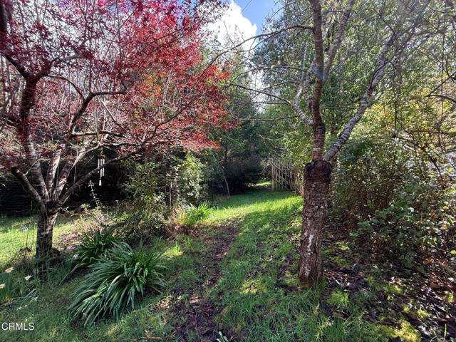 Detail Gallery Image 23 of 34 For 3480 Albion Ridge G Rd, Albion,  CA 95410 - 2 Beds | 1 Baths