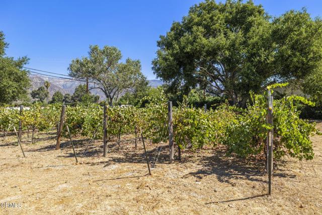 Detail Gallery Image 34 of 43 For 202 Boardman Rd, Ojai,  CA 93023 - 4 Beds | 4 Baths