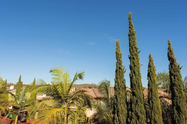 Detail Gallery Image 41 of 68 For 3753 Bergen Peak Pl, Carlsbad,  CA 92010 - 4 Beds | 3/1 Baths