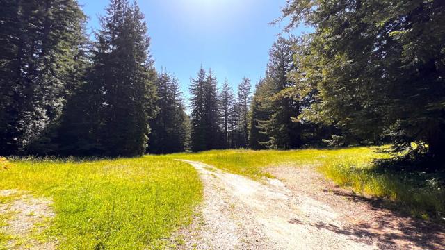 3675 Bonny Doon Road, Santa Cruz CA: https://media.crmls.org/mediaz/78647bc2-73ee-434d-a168-7147e09158bc.jpg