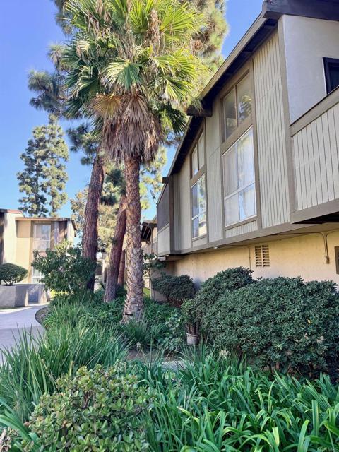 808 Coriander Dr Unit: D