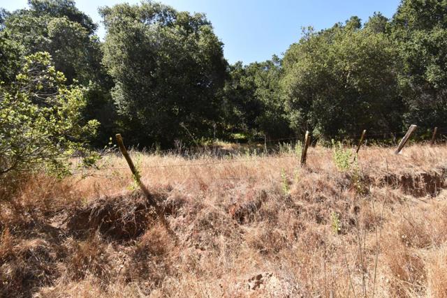 0 Alexander Lane, San Juan Bautista CA: https://media.crmls.org/mediaz/786e00d2-97cf-4b46-997c-47180fa58460.jpg