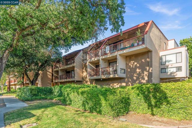 1600 Carmel Drive, Walnut Creek CA: https://media.crmls.org/mediaz/78777a7c-d141-486c-8a3b-4165969a195d.jpg