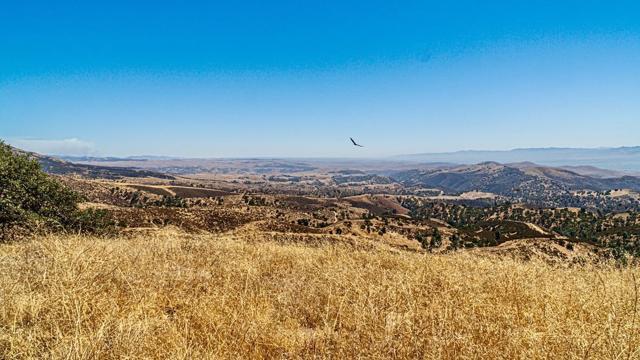 0 HWY 146, Soledad CA: https://media.crmls.org/mediaz/787c294f-a865-405e-b894-c7eeb6fe2aa5.jpg