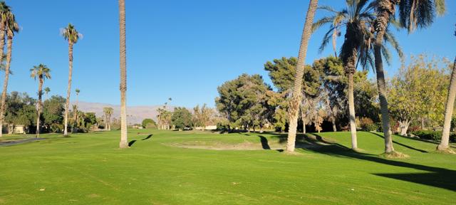 49775 Wayne Street, Indio CA: https://media.crmls.org/mediaz/787f302b-c3fa-42a9-a4c2-b78e4c8dedc1.jpg