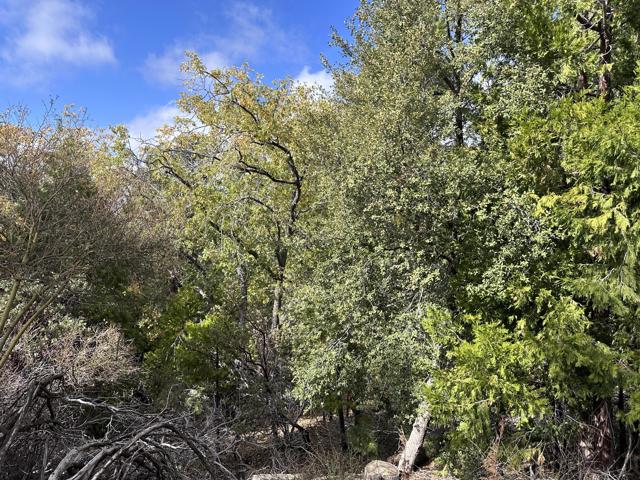 0 Round Robin, Idyllwild CA: https://media.crmls.org/mediaz/788839e3-94e4-4b24-9248-99dc8227fd33.jpg