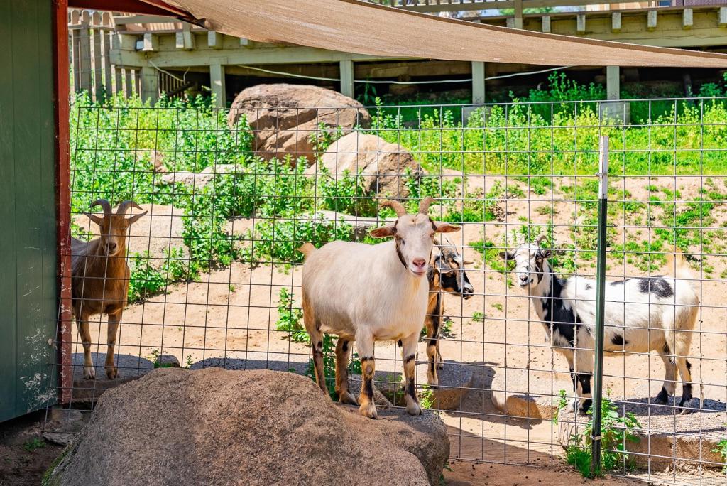 MLS #NDP2507028 image #35