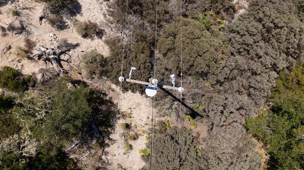 MLS #ML81977847 image #12