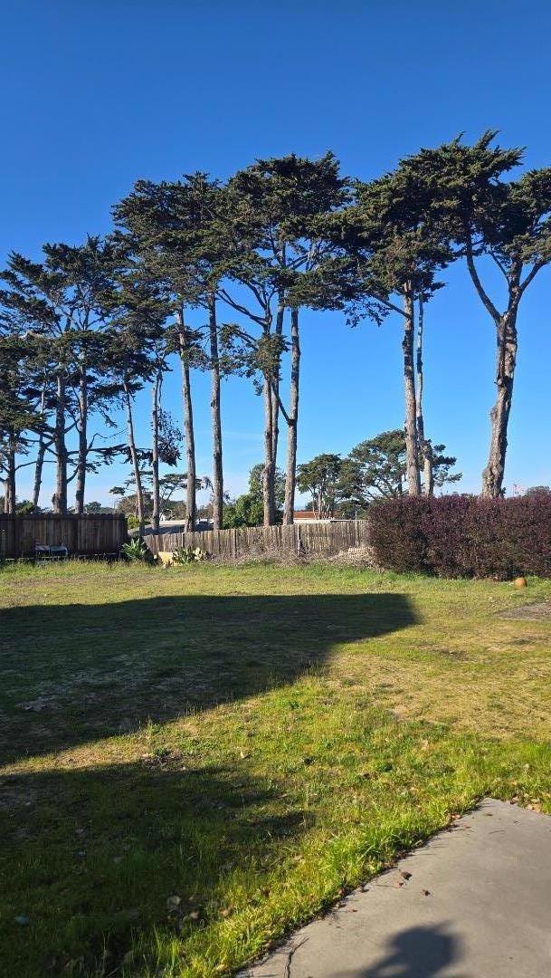 221 Mortimers (Unit B) Lane, Marina CA: https://media.crmls.org/mediaz/789731ab-fd03-4175-bebc-394c214e6236.jpg