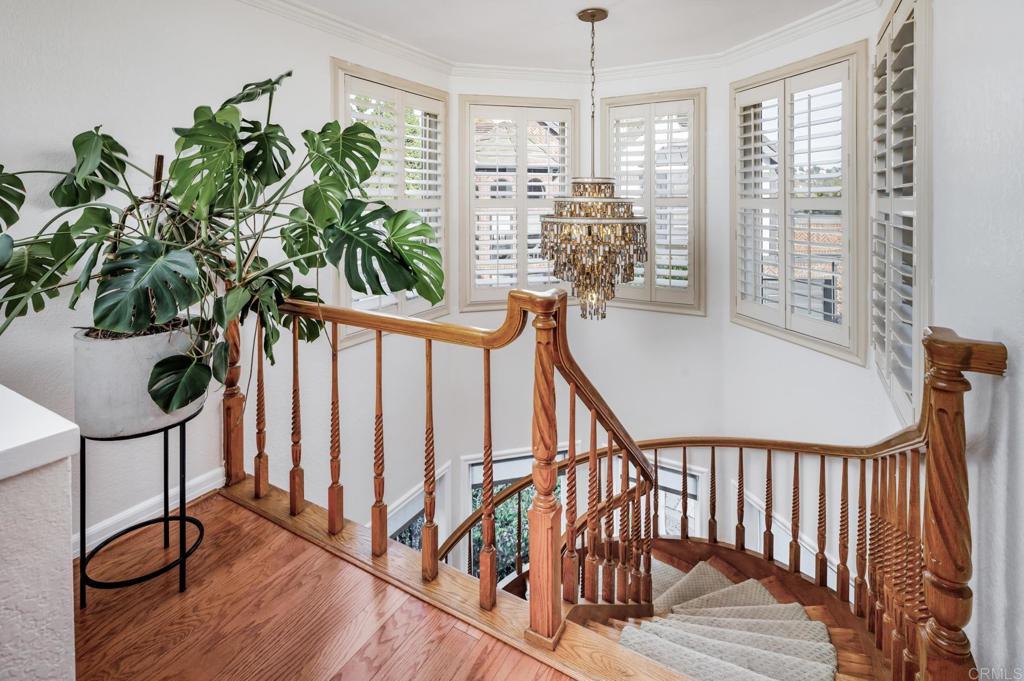 7351 Alicante Road - photo 12
