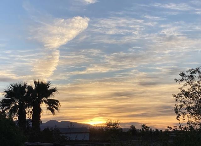 Image 32 of 68 For 74711 Dillon Rd Spc 962