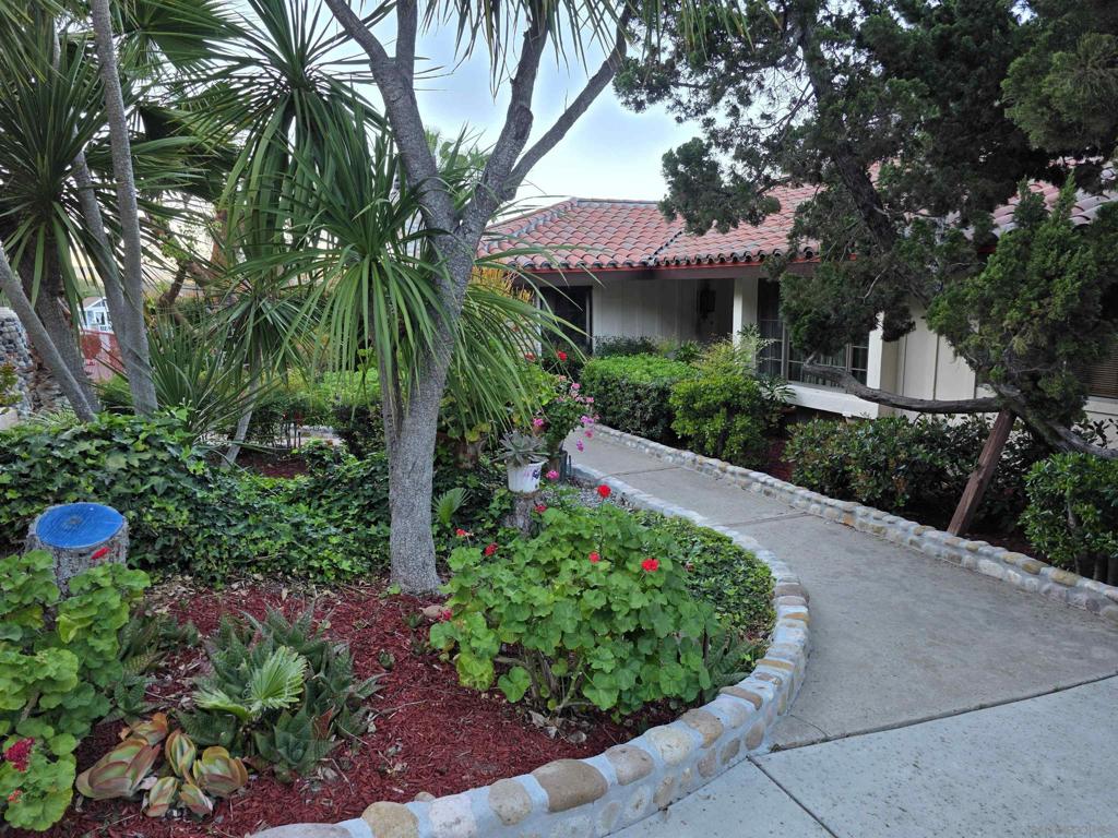 5667 Yerba Anita Drive - photo 3