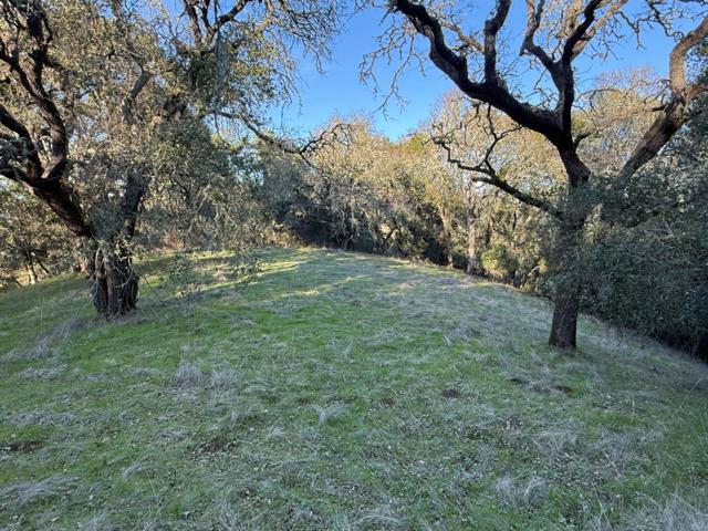 0 Chesbro Lake Drive, Morgan Hill CA: https://media.crmls.org/mediaz/78a72b6f-985a-44a6-a8e8-6402ff9a509d.jpg