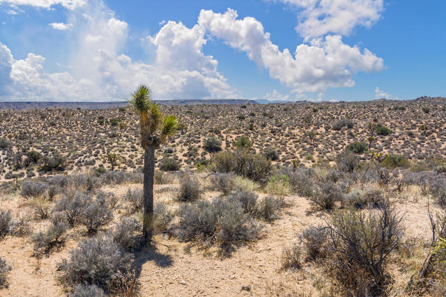 Image 20 of 26 For 101 Hondo Street