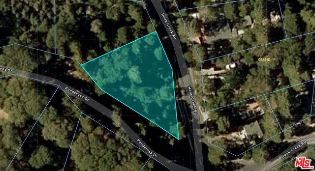 0 Ponderosa Drive, Cedar Glen CA: https://media.crmls.org/mediaz/78b689ea-5a36-4eef-9876-0f697e1343e4.jpg