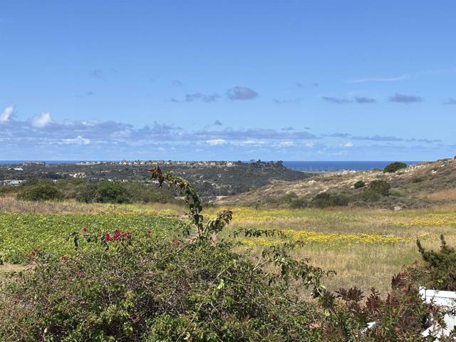 Front Image Thumbnail for CRNDP2604638