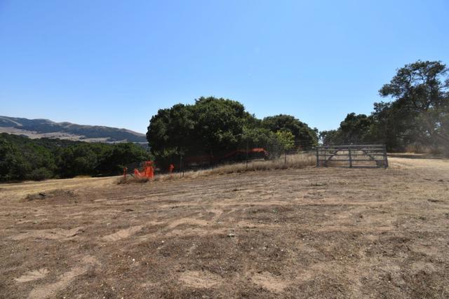 0 Alexander Lane, San Juan Bautista CA: https://media.crmls.org/mediaz/78c7e411-c81f-43b6-a597-7d3105e87a9d.jpg