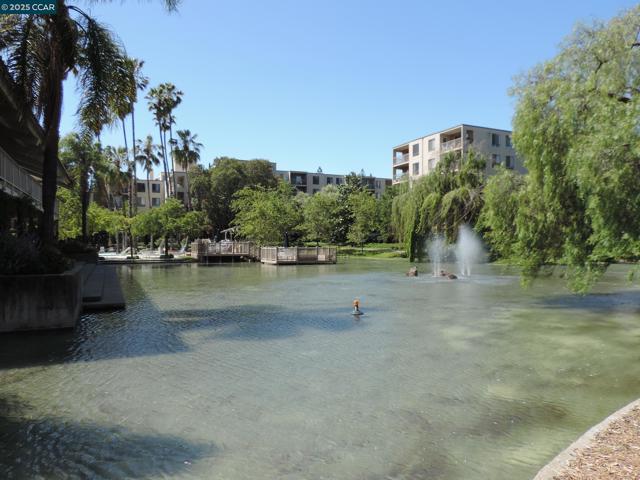 470 N Civic Dr., Walnut Creek CA: https://media.crmls.org/mediaz/78d41290-3bfc-46ce-960f-6526556f08be.jpg