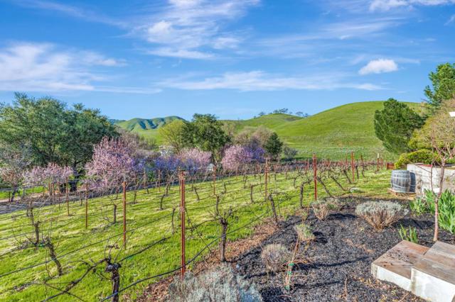 10260 Lucky Court, Gilroy CA: https://media.crmls.org/mediaz/78d7ab20-081b-4649-ac9d-1a1f6a758161.jpg