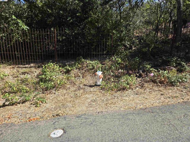 12 Vista Del Orinda, Orinda CA: https://media.crmls.org/mediaz/78dcec78-1a5e-4411-805e-23b7541c8faf.jpg