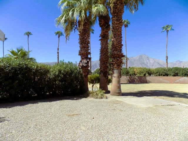 Detail Gallery Image 34 of 44 For 1010 Palm Canyon Dr #291,  Borrego Springs,  CA 92004 - 2 Beds | 2 Baths