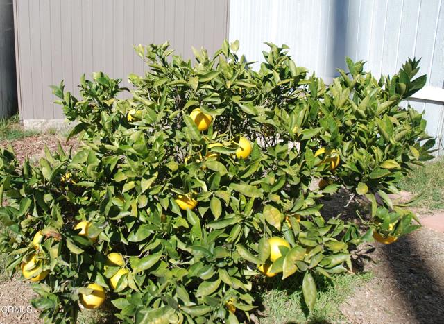 Detail Gallery Image 29 of 35 For 4388 E Central Ave #63,  Camarillo,  CA 93010 - 2 Beds | 2 Baths