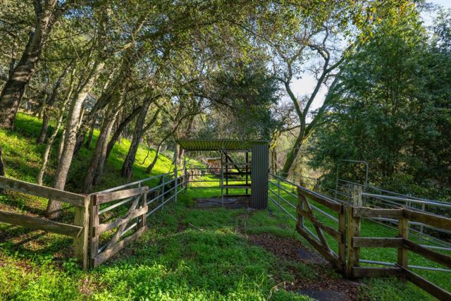 112 JANE Drive, Woodside CA: https://media.crmls.org/mediaz/78eb14ea-3bec-4445-a58e-154fc37c08cc.jpg