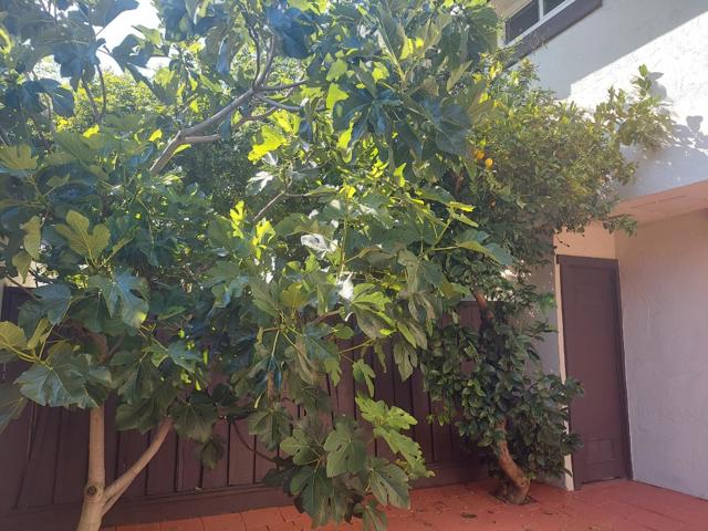 368 Serramonte Terrace, Fremont CA: https://media.crmls.org/mediaz/78f462ed-dea8-4a3a-a77c-0dfab42c64e2.jpg