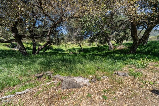 Detail Gallery Image 2 of 45 For 4700 Rising Hill Rd, Altadena,  CA 91001 - – Beds | – Baths